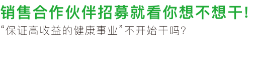 销售合作伙伴招募